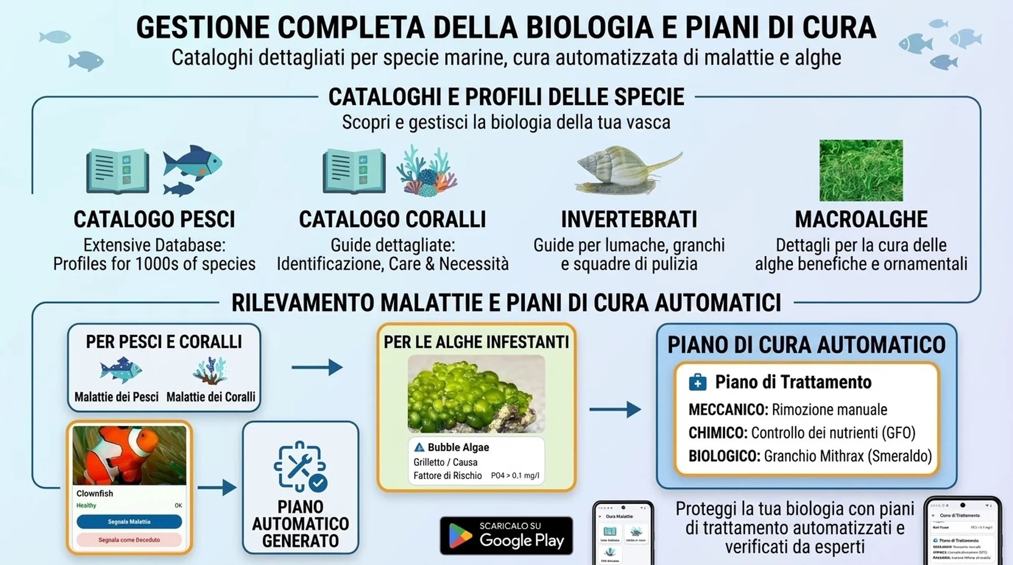 Reef Guru – biologia, enciclopedia specie e diagnosi malattie